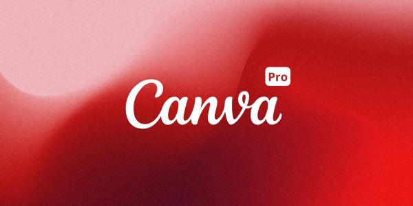 Canva Head Edu